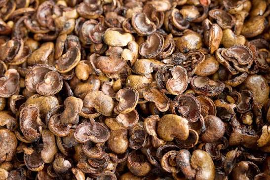 Cashew Shell